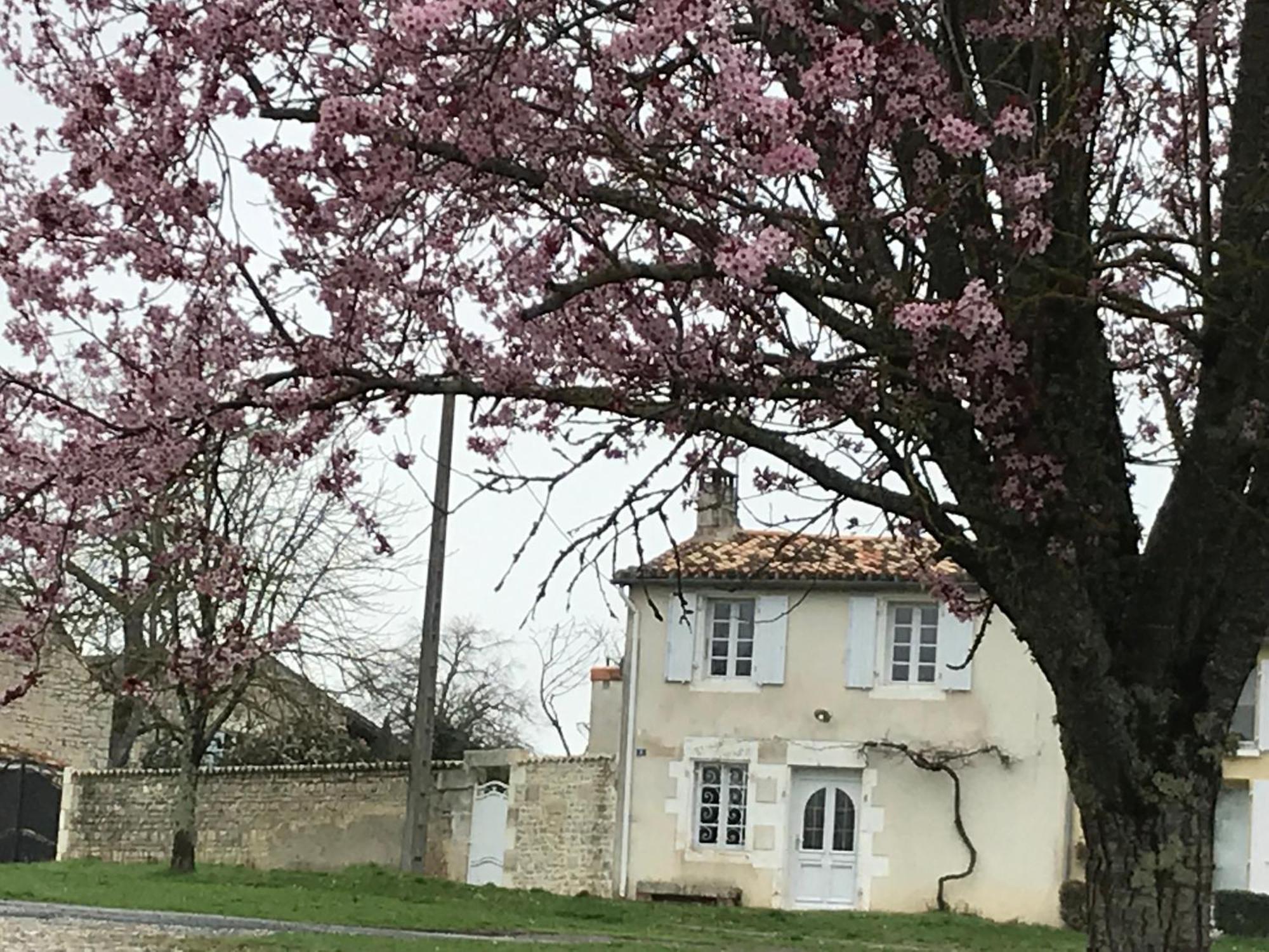 La Maison De Josephine Montignac-Charente Exterior foto